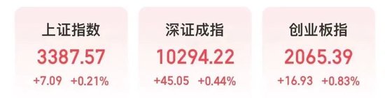 配资平台开户 600610，盘中“天地板”！热榜第一