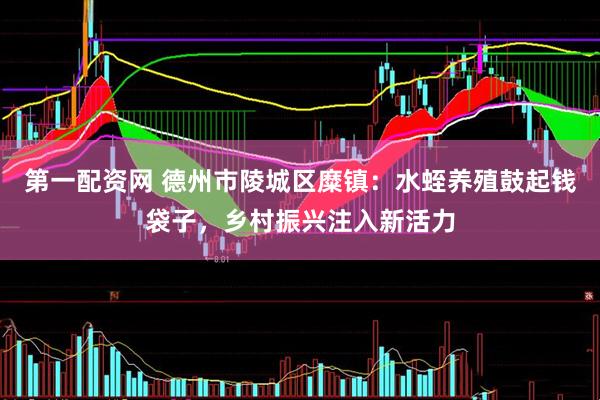 第一配资网 德州市陵城区糜镇：水蛭养殖鼓起钱袋子，乡村振兴注入新活力