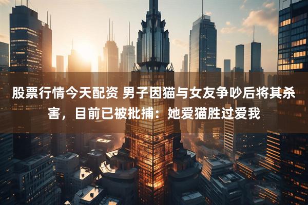 股票行情今天配资 男子因猫与女友争吵后将其杀害，目前已被批捕：她爱猫胜过爱我