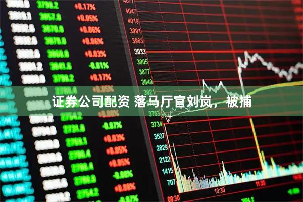 证券公司配资 落马厅官刘岚，被捕