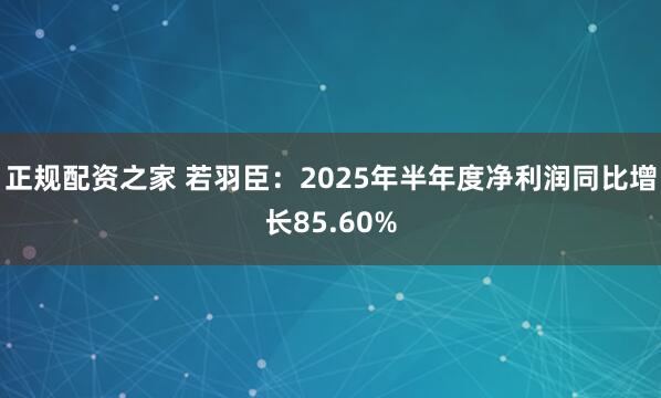 正规配资之家 若羽臣：2025年半年度净利润同比增长85.60%